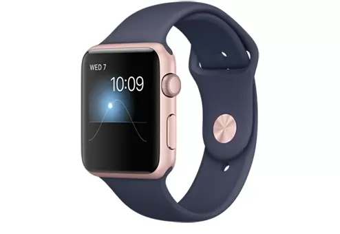 Часы Apple Watch Sport Series 1, 42mm (MNNM2RU/A)